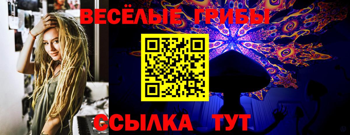 Кудрово  Псилоцибиновые грибы ЛСД  Вход с VPN 