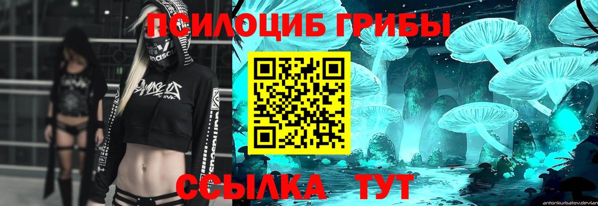 Галлюциногенные грибы мицелий Кудрово